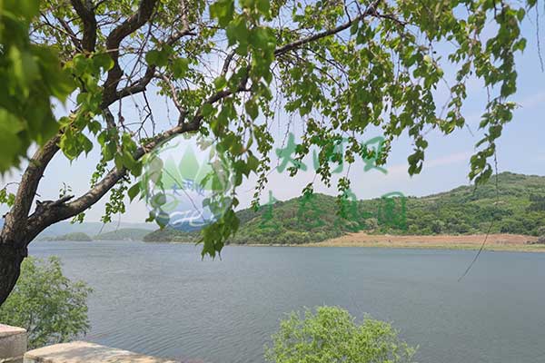 沈陽大河貝墓園，貼心服務，守護家屬情感
